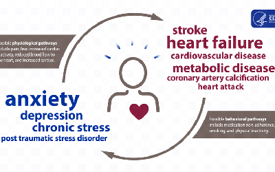 Exploring the Connection Between Stress and Heart Disease