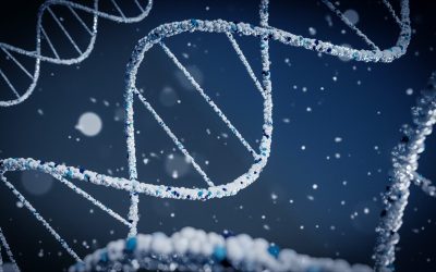 What Are Epigenetics and Why Should You Care?