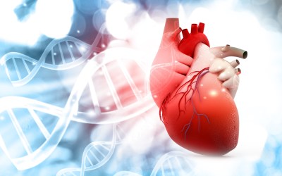 A Next-Generation Integrated Genetic-Epigenetic Algorithm to Predict Coronary Heart Disease